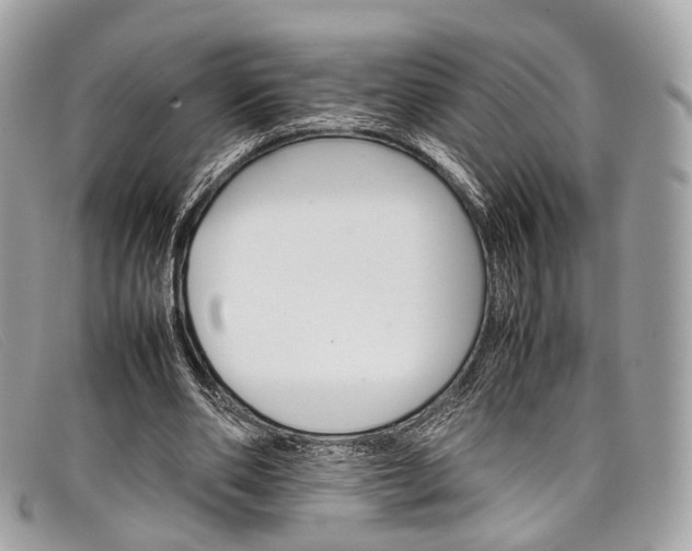 X0000098040486200804111350