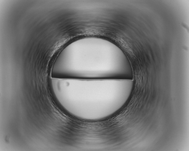 X0000098040488200804111350