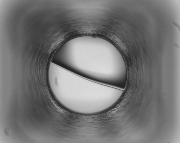 X0000098040489200804111350
