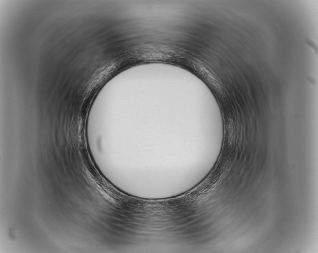 X0000098040490200804111350