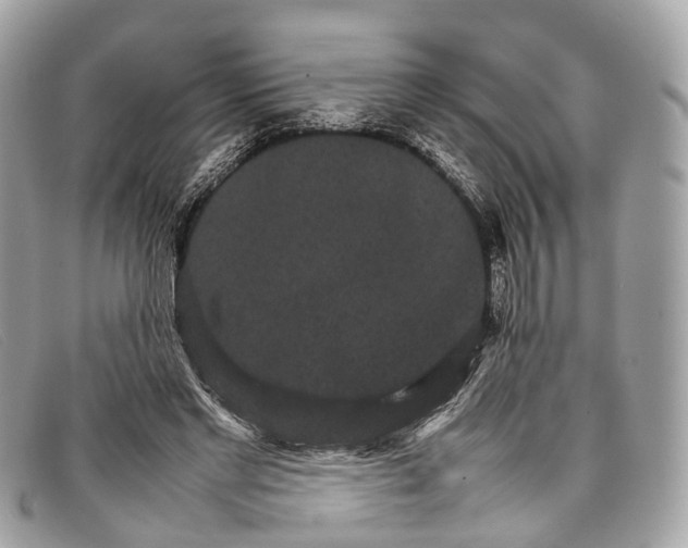 X0000098040493200804111350
