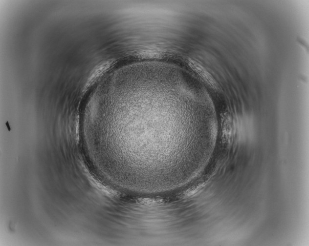 X0000098040494200804111350