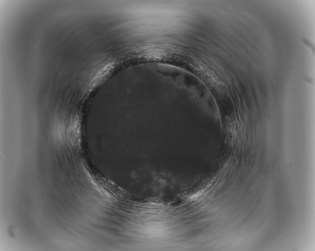 X0000098040496200804111350