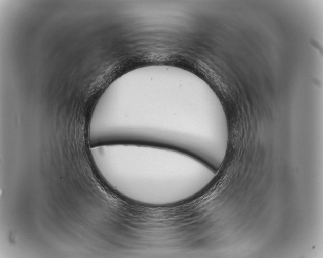 X0000098040497200804111350