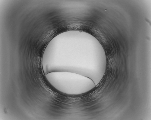 X0000098040498200804111350