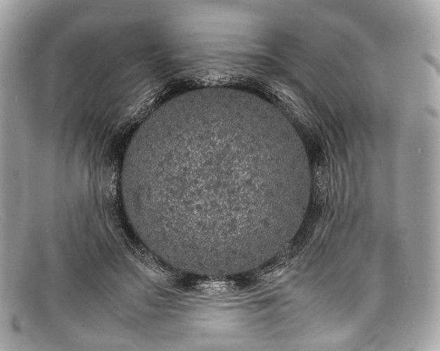 X0000098040499200804111350