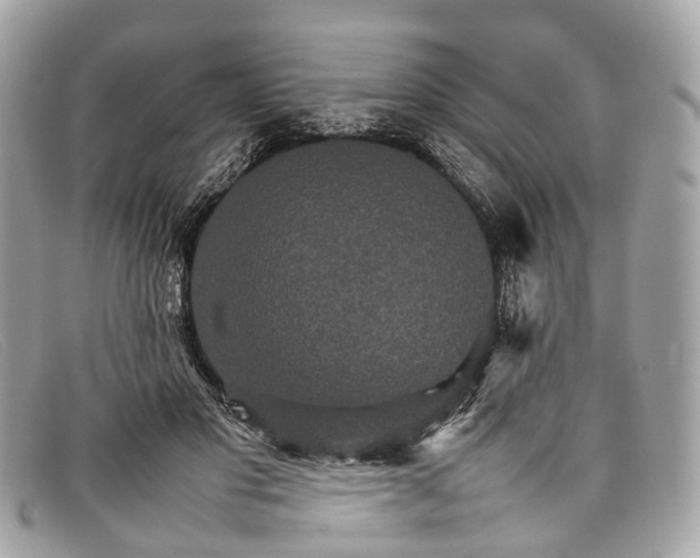 X0000098040501200804111350