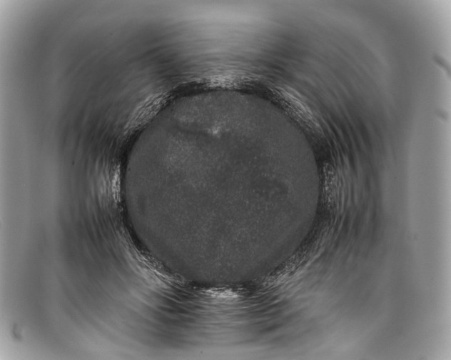 X0000098040502200804111350