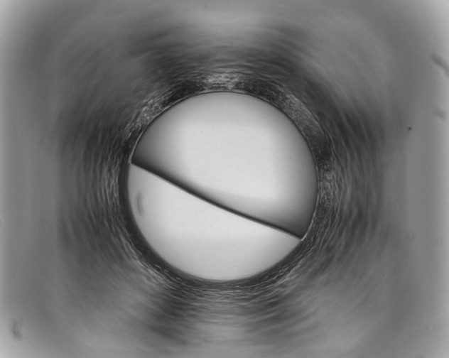 X0000098040504200804111350