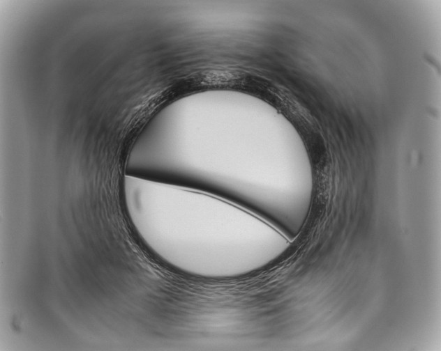 X0000098040505200804111350