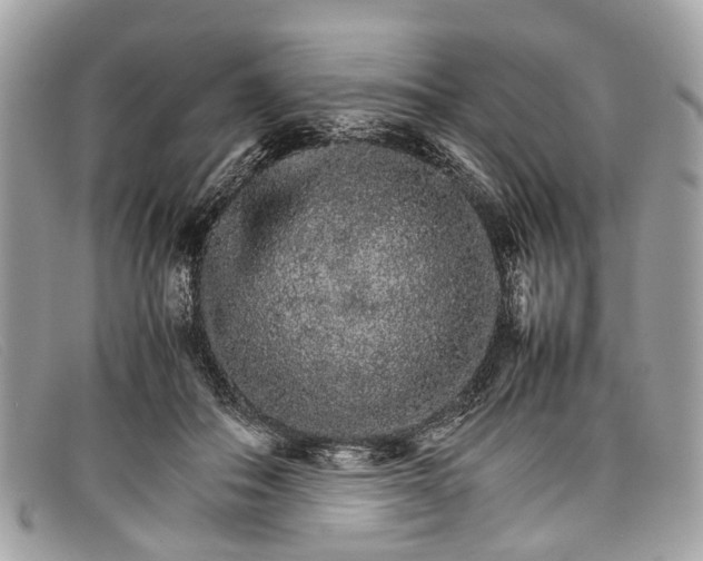 X0000098040506200804111350