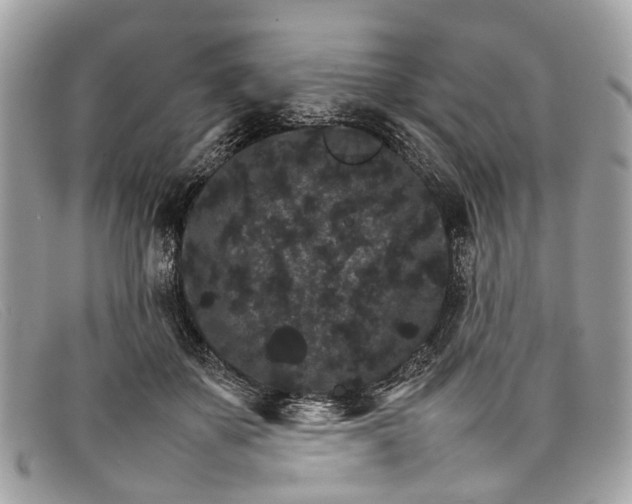 X0000098040507200804111350