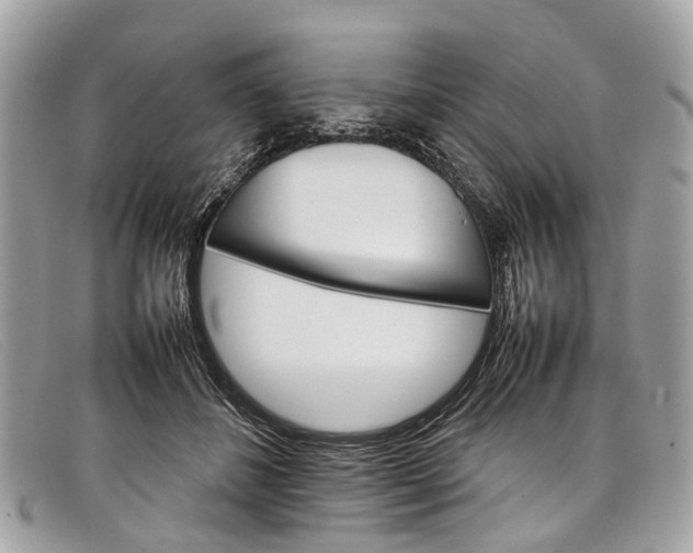 X0000098040508200804111350