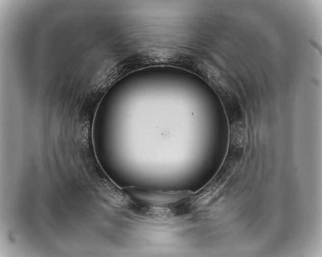 X0000098040509200804111350