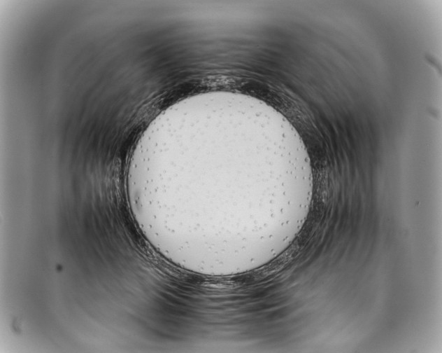 X0000098040510200804111350