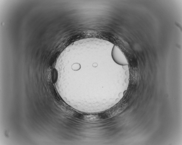 X0000098040511200804111350