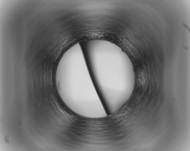 X0000098040512200804111350