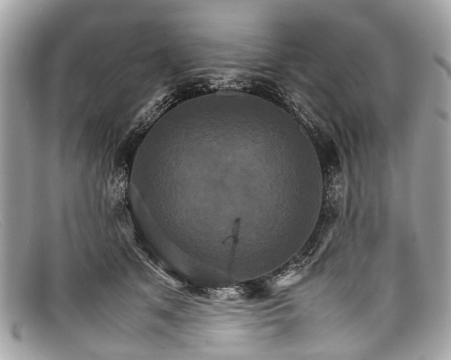 X0000098040513200804111350