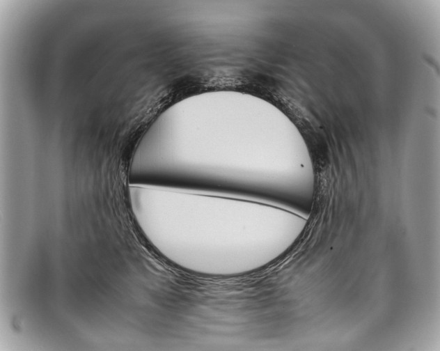 X0000098040517200804111350
