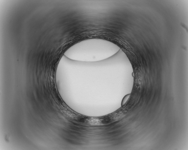 X0000098040518200804111350