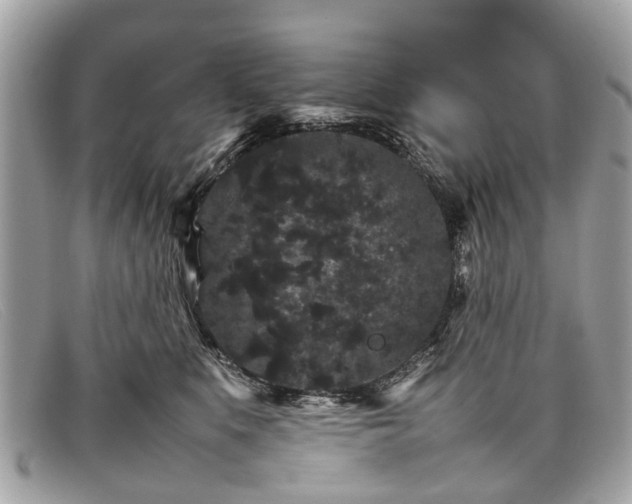 X0000098040519200804111350