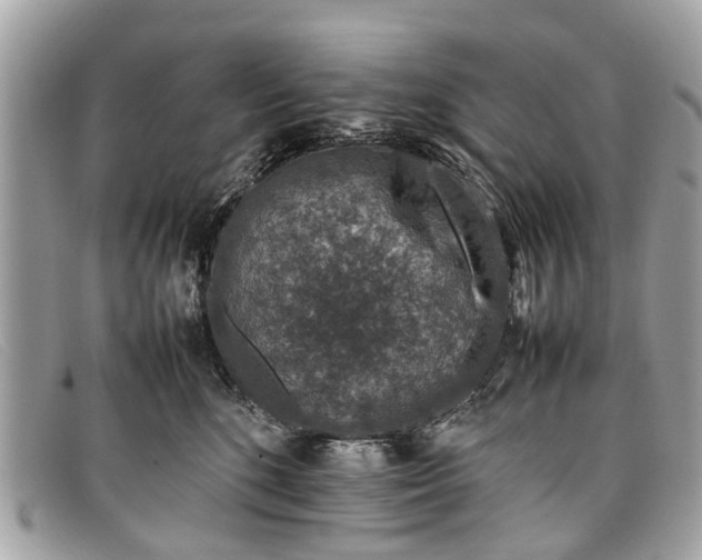 X0000098040520200804111349