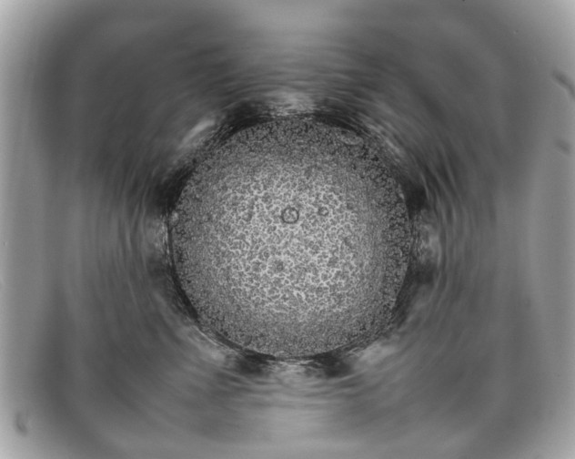 X0000098040523200804111349