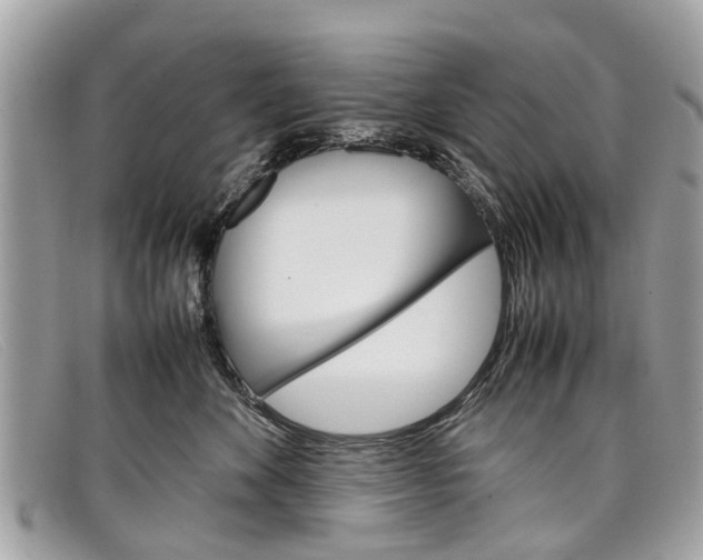 X0000098040524200804111349