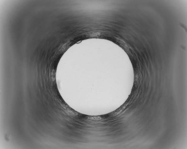 X0000098040525200804111349