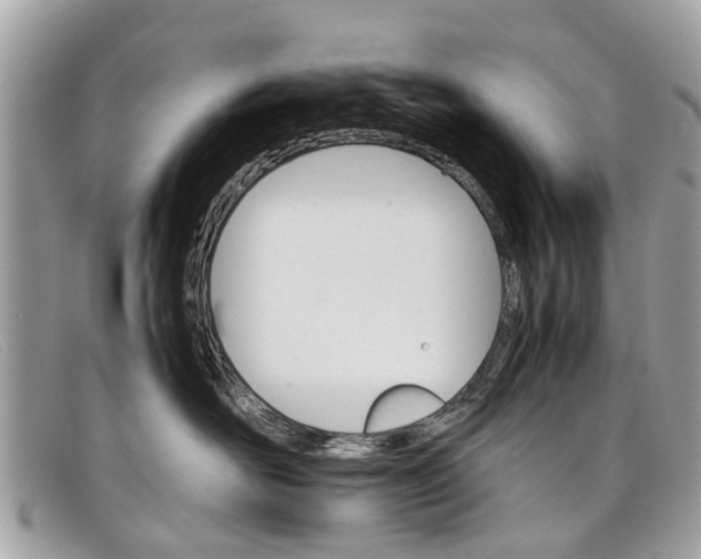 X0000098040526200804111349