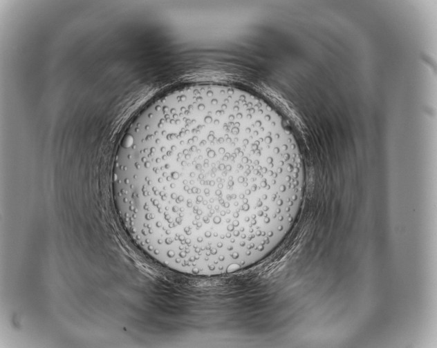 X0000098040529200804111349