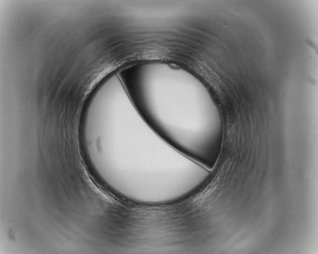 X0000098040530200804111349