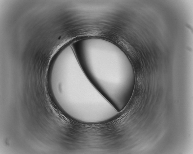 X0000098040532200804111349
