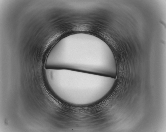 X0000098040535200804111349