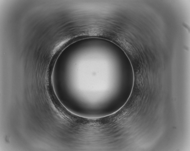 X0000098040536200804111349