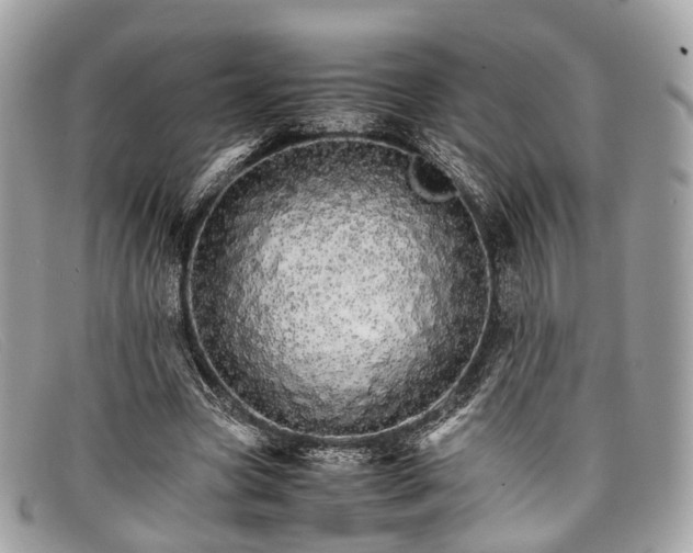 X0000098040537200804111349