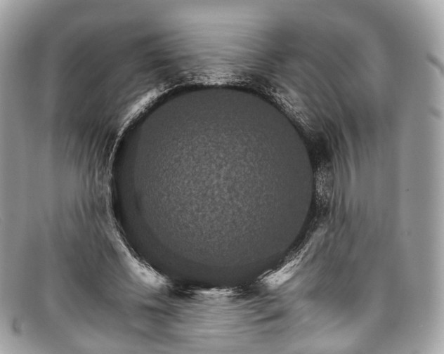 X0000098040540200804111349