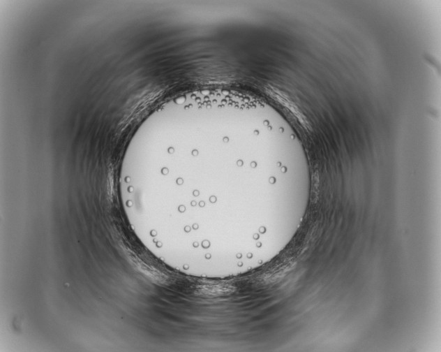 X0000098040541200804111349