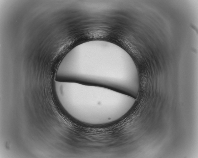 X0000098040543200804111349