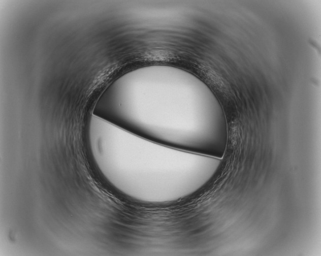 X0000098040544200804111349