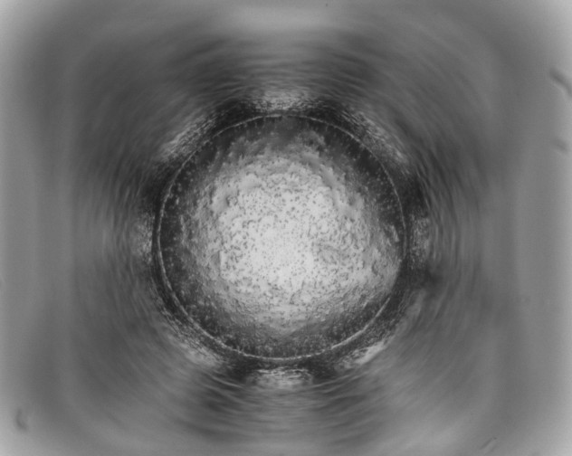 X0000098040545200804111349