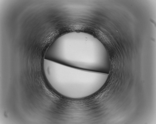 X0000098040546200804111349