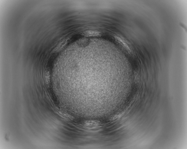 X0000098040549200804111349