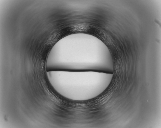 X0000098040551200804111349