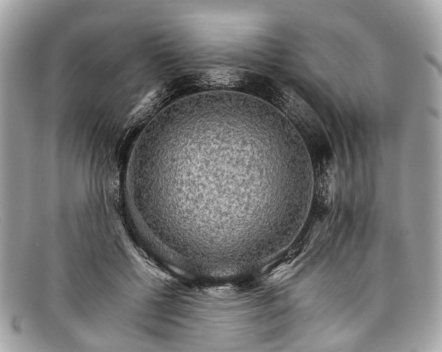 X0000098040552200804111349