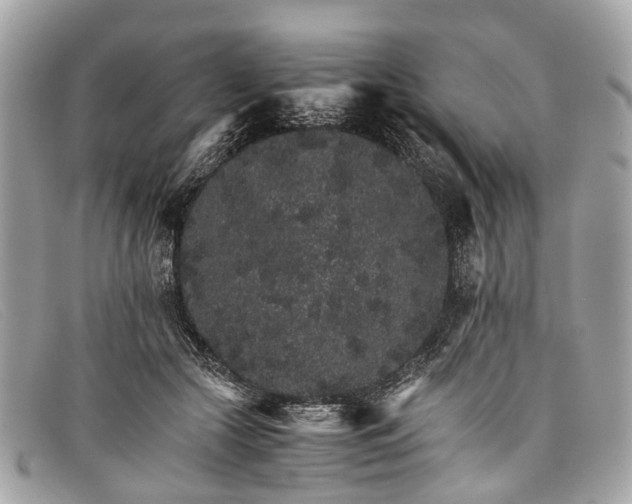 X0000098040553200804111349