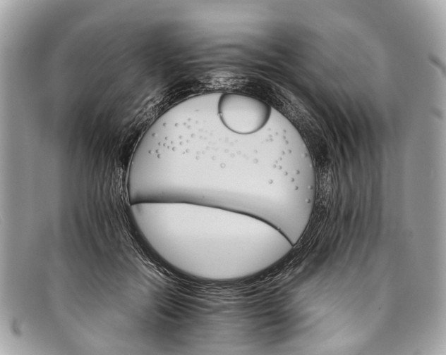X0000098040554200804111349