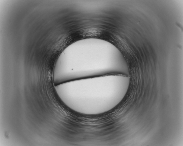 X0000098040555200804111349