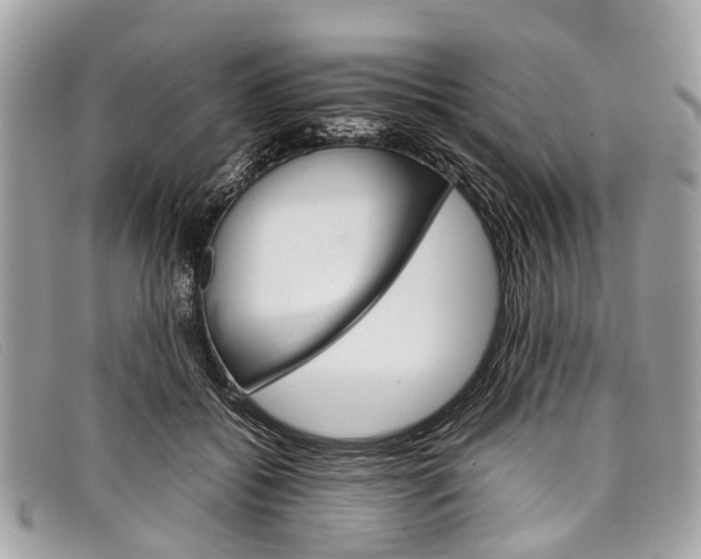 X0000098040556200804111349