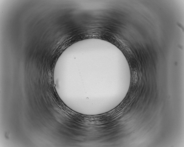 X0000098040557200804111349